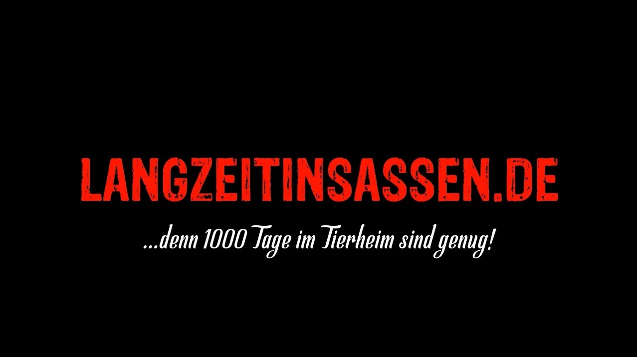 Langzeitinsassen.de - ...denn 1000 Tage im Tierheim sind genug!